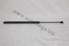 RENAU 6025300735 Gas Spring, boot-/cargo area